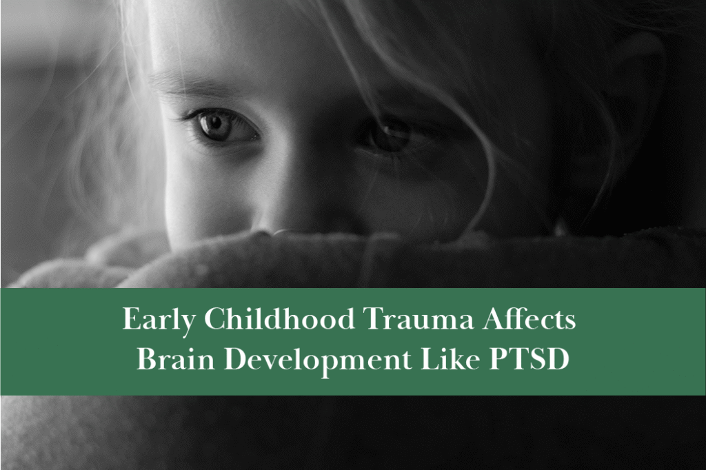 Childhood trauma affects brain development like PTSD