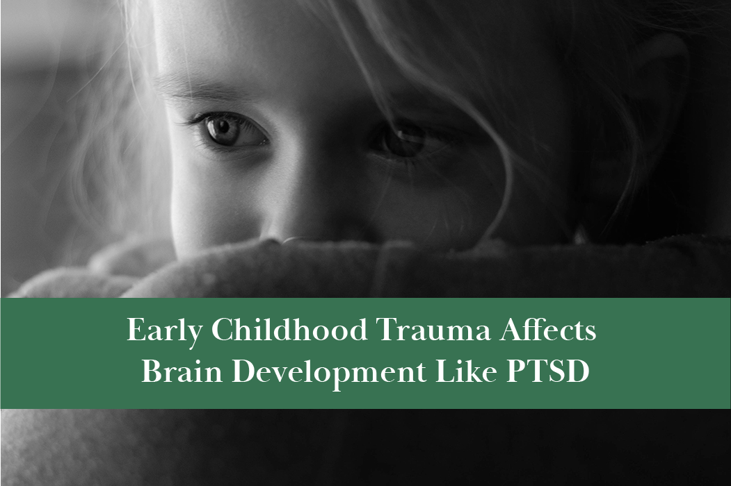 Childhood trauma affects brain development like PTSD