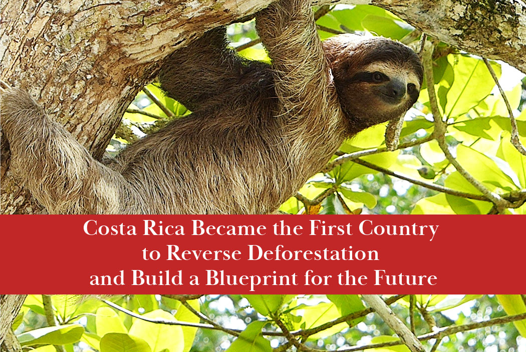 Costa Rica is the first country to reverse deforestation and establish a protective blueprint for future environmental protections.