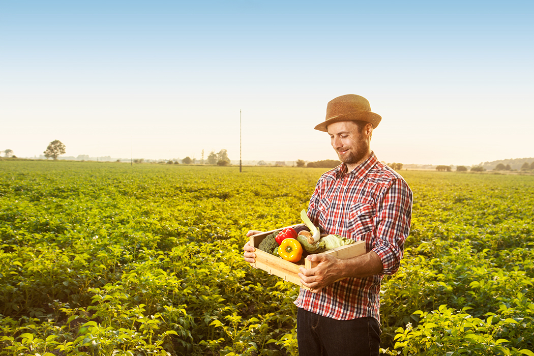 A former coal mine in Texas is now a sprawling garden that feeds thousands