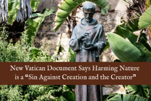 New Vatican document says harming nature is a "sin against Creation and the Creator".