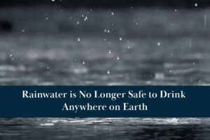 Rainwater is no longer safe to drink anywhere on the planet.