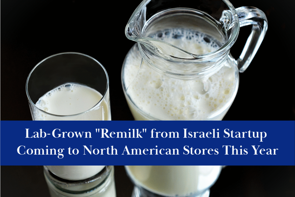 Israeli startup "Remilk" has created genetically identical cow's milk in a lab.