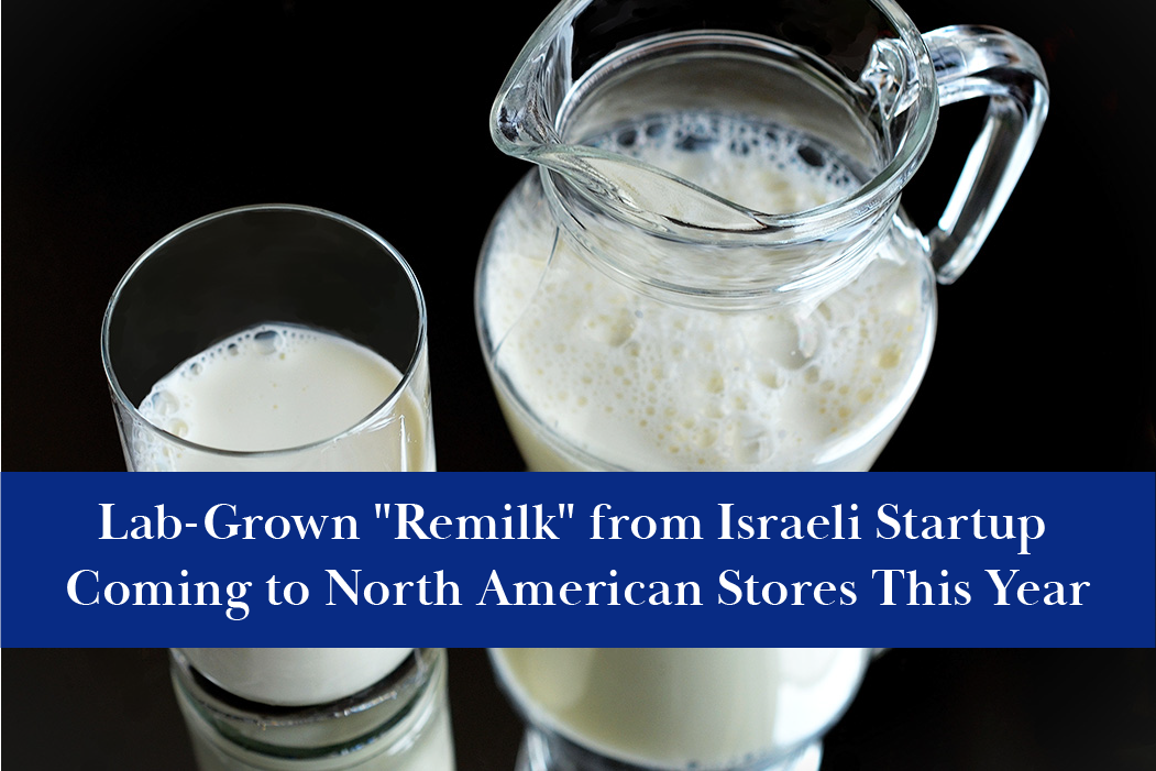 Israeli startup "Remilk" has created genetically identical cow's milk in a lab.
