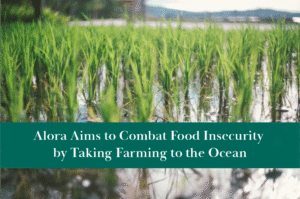 Alora Aims to Combat Food Insecurity by Taking Farming to the Ocean