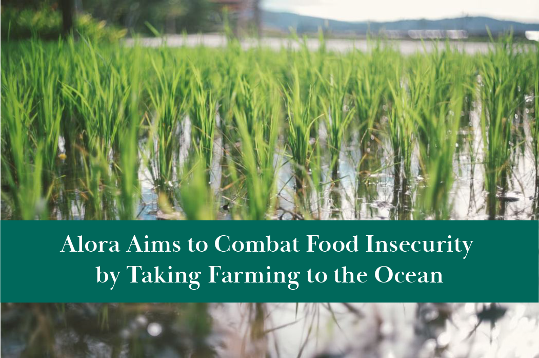 Alora Aims to Combat Food Insecurity by Taking Farming to the Ocean