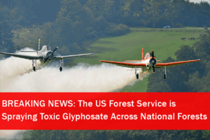 Spraying toxic glyphosate over forests
