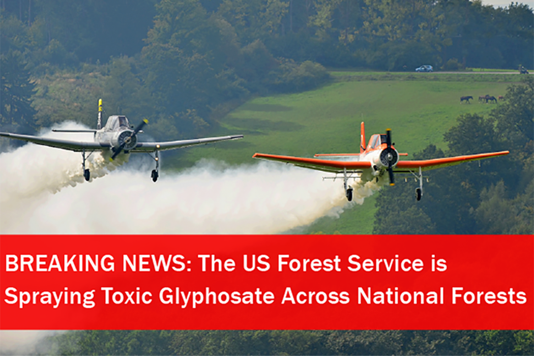 Spraying toxic glyphosate over forests