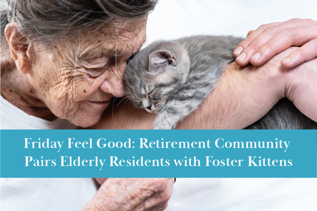 Retirement communities introduce foster kittens to improve residents' lives.