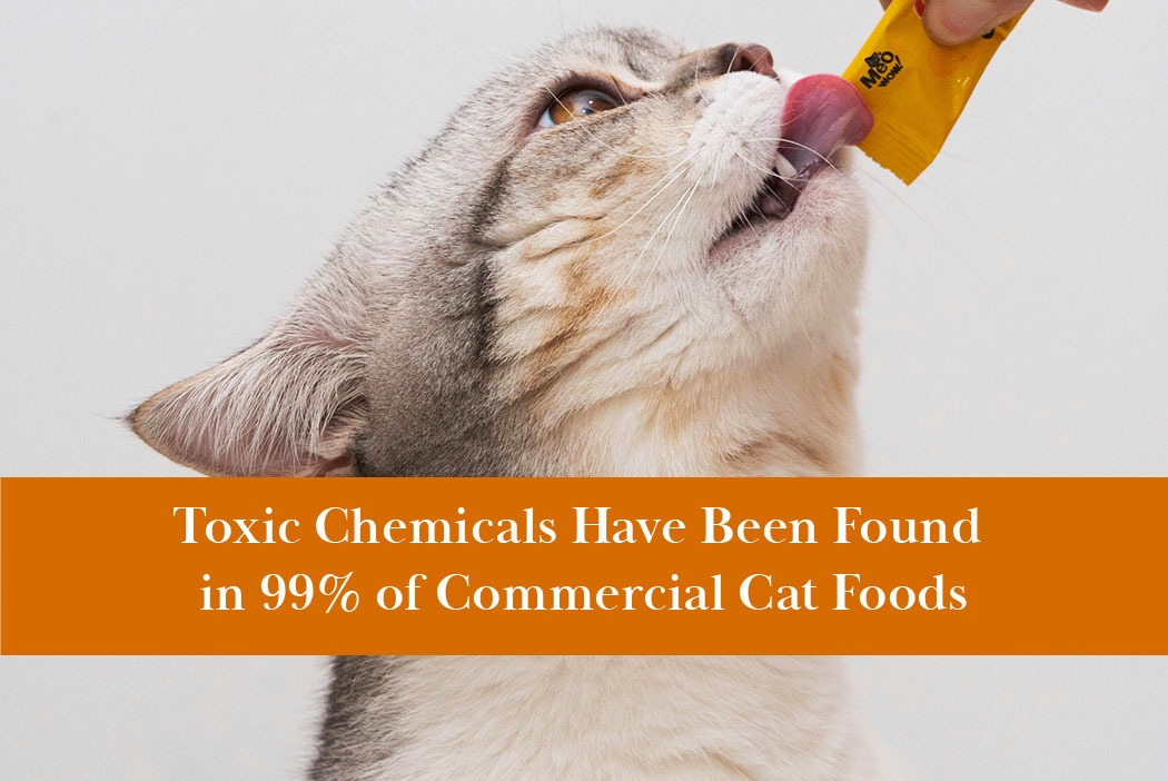Toxic chemicals such as herbicides, lead, arsenic, and mercury have been found in 99% of cat foods.